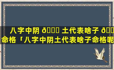 八字中阴 💐 土代表啥子 🌺 命格「八字中阴土代表啥子命格呢」